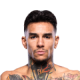 Andre Fili