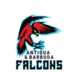 Antigua and Barbuda Falcons