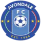 Avondale FC Sub-23