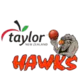 Bay Hawks