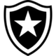 Botafogo RJ (Virtual_12)