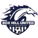 Box Hill United