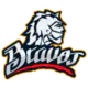 Bravos de Leon