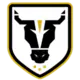 Bulls FC Academy
