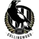 Collingwood Magpies