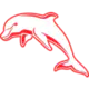 Dolphins NRL