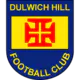 Dulwich Hill Sub-20