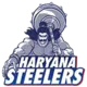 Haryana Steelers (V)