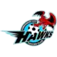Hawkesbury City FC