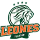Leones de Yucatan