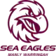 Manly-Warringah Sea Eagles
