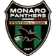 Monaro Panthers