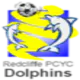 Redcliffe Dolphins