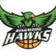 Ringwood Hawks (f)