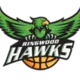 Ringwood Hawks