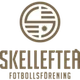 Skelleftea FF