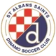 St Albans Saints Sub-23