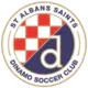 St Albans Saints