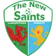 The New Saints