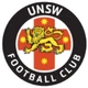 University of NSW Lions