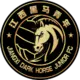 Wenzhou FC